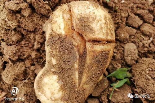 裂缝在线观看土豆,土豆独家首播，揭秘神秘裂痕背后的真相